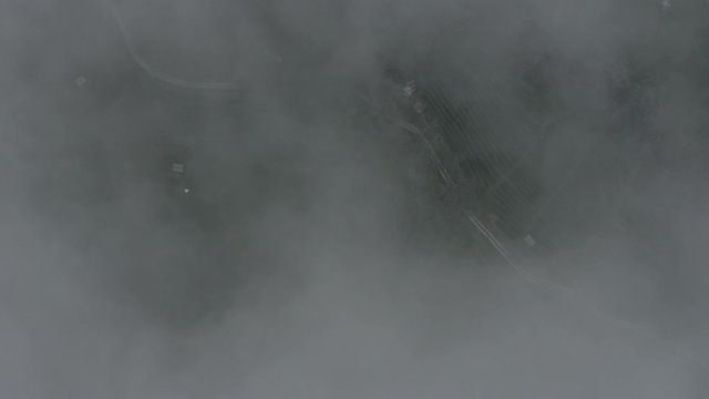 Aerial footage of Jatiluwih rice terraces in the fog and clouds. Drone flies through clouds above rice paddy plantation fields, balinese houses, palm trees, road. Island Bali, Indonesia.