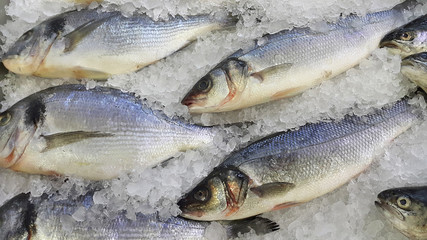 Fresh cooled fish on ice for sale in market