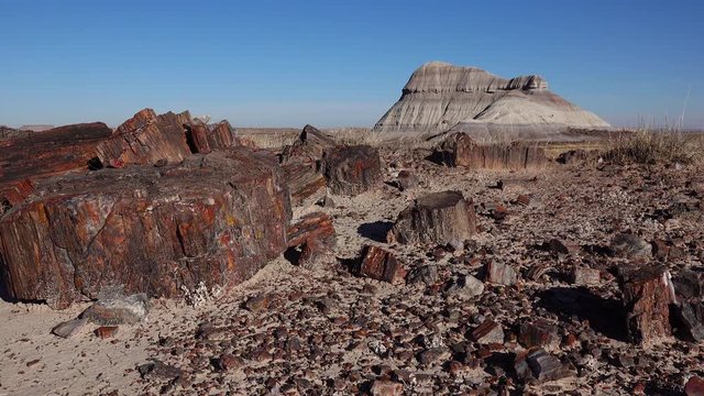 The trunks of petrified trees, multi-colored crystals of minerals. Petrified Forest National Park, Arizona
