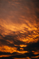 Fototapeta premium high contrast orange cloud