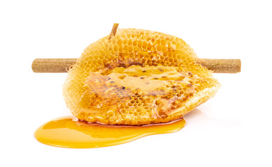 honeycomb on dry branch isolated on white background
