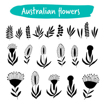 Set of australian flowers, black silhouettes