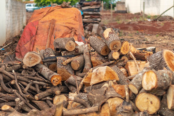 group of cut and stacked tree toasts saved on ground 