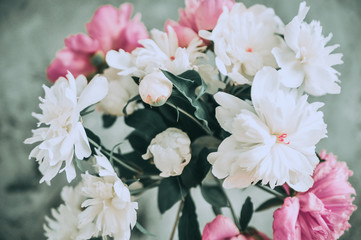 White and pink peonies on stone background