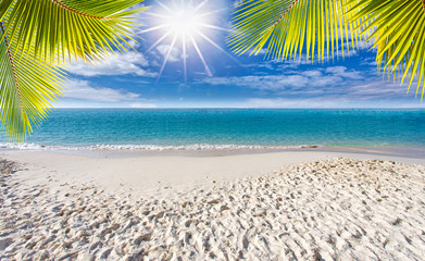 Sunny with  coconut leaves and sandy beaches in the summer holidays, summer vacation and travel concept with copy space