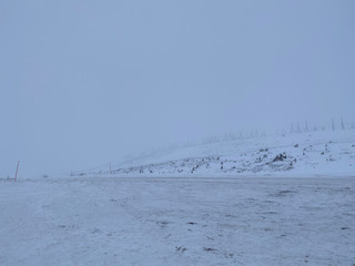 Empty road covering by white snow and some dry grass at side way with cloudy climate in winter season.