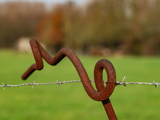 Obraz premium bouvines 2019