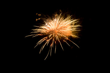 Obraz premium Beautiful Firework in the sky, celebration and new year concept