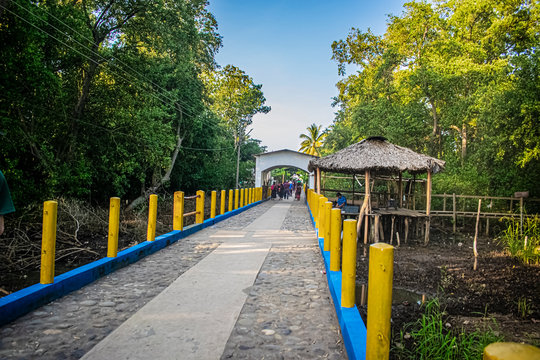 puente de piedra, entre arboles de manglares, paisaje de camino