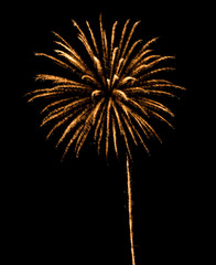 Beautiful Firework in the sky, celebration and new year concept