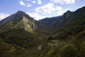 Fototapeta na wymiar Mountain summer landscape. Canyon in Montenegro. 