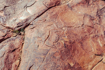 Rock engravings of the site of Ait Ouazik in Morocco