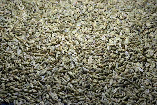 Goshudh Premium Fennel Sauf