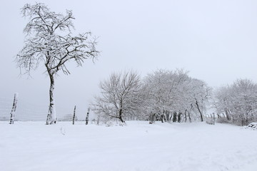 Winterlandschaft in einem Dorf