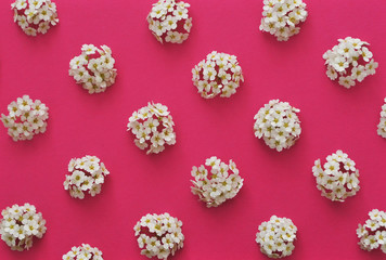 Abstract spring background with flower`s petals. Spring concept background.