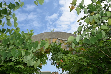 stone arch made of shell with a white curtain covered with vine