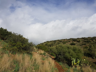 Obraz premium Paesaggio