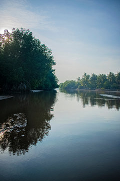 paisaje de rio de pantano
