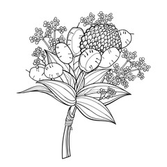 Boutonniere with outline Lunaria or Honesty or moonwort dried flower and leaf in black isolated on white background.