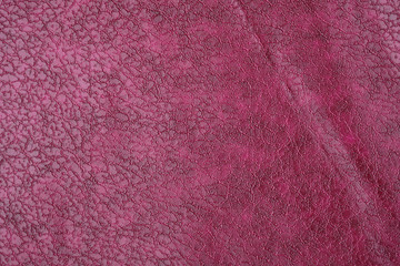 Texture pink leather background