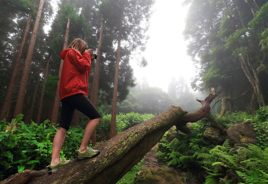 Young woman photographer trekking and taking pictures in the tropical forest of Pozo da Alagoinha, Flores Island, Azores Archipelago, Portugal, Europe