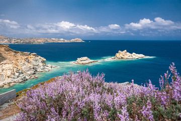 Thyme bushes on a rock against the background of two sea islands
