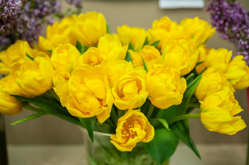 Spring bright yellow tulips in a vase. Hello Spring and Woman day concepts