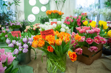  Flower show . Chic bouquet of orange tulips  variety Orange Princess  and Katinka .  Spring summer background