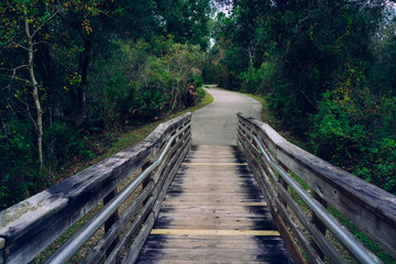 Obraz premium A wooden boardwalk crossing forest