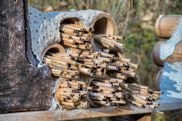 Insect Hotel