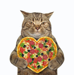 The beige cat is holding a heart shaped pizza. White background. Isolated. - 311072716