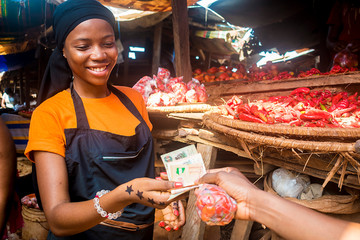 young african woman selling tomatoes in a local african market collecting money from a paying...