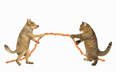 The dog with the cat are playing in tug of war. They pull a sausage instead of a rope. White...