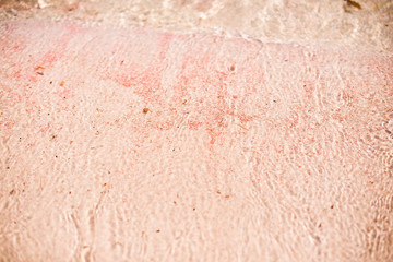 Elafonisi closeup of texture pink sand sea travel dream 