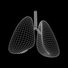 Lungs with trachea bronchi internal organ human. Pulmonology medicine science technology concept. Wireframe low poly mesh vector illustration