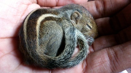 closeup of hands holding a fish