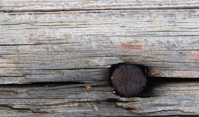 nail in the wooden board