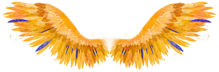 Beautiful yellow orange golden fiery magic phoenix wings with several blue feathers