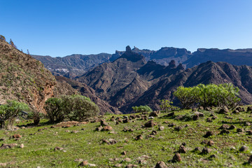 Mountain landscape Gran Canaria Spain