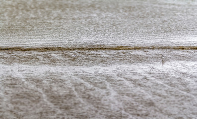 coastal mudflat scenery