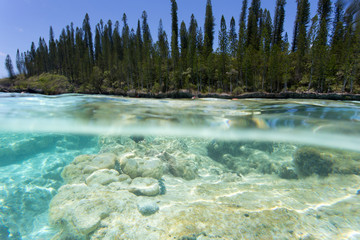 The coast view at ile des pins