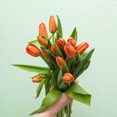 Red tulips on a green background. A bouquet of flowers with red buds and green leaves. A bunch of tulips is held by a girl