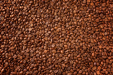 Coffee beans in a dense layer. Background. Space for text.
