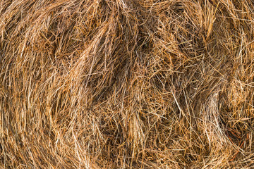 A close-up shot of a twisted haystack, dry straw. Hay texture. Harvesting concept in agriculture
