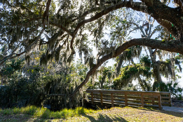 Huge old live oak trees,, a wooden bridge and the salt marsh illustrate the beautiful bike trails on a  winter's day on Jekyll Island, in coastal Georgia's Golden Isles.