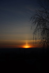 Dark sunset sky with the setting sun, silhouette of birch branches.