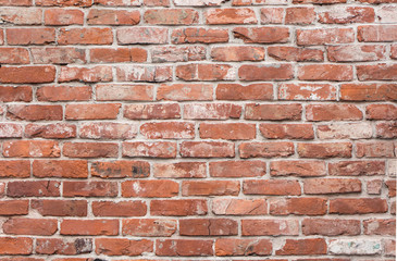 Fototapeta premium Old brick wall texture or background