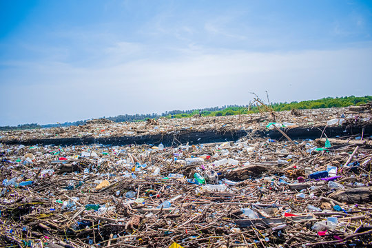 contaminated garbage landscape