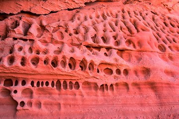 Red and Orange Sandstone Rock Formations along the Bone Wash Elephant Arch Trail in Red Cliffs National Desert Reserve in Saint George, Utah. United States.