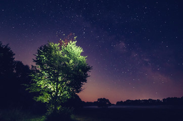 Fototapeta na wymiar Milky way on a beautiful night sky, the Milky Way and the trees